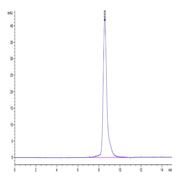 Biotinylated Human NKG2A/CD159a Protein (NKG-HM410B)