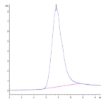 Biotinylated Human NKG2C/CD159c Protein BP004069 Syd Labs