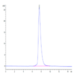 Mouse NKG2C/CD159c Protein BP004079 Syd Labs