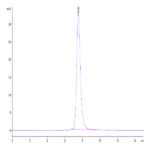 Human NKp46/NCR1/CD335 Protein (NKP-HM146)