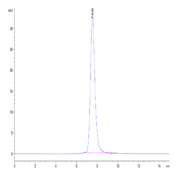 Human NKp46/NCR1/CD335 Protein (NKP-HM146)