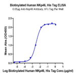 Biotinylated Human NKp46/NCR1/CD335 Protein (Primary Amine Labeling) BP004061 Syd Labs