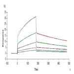 Human NKp30/NCR3/CD337 Protein BP004324 Syd Labs