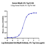 Human NKp46/NCR1/CD335 Protein  BP004557 Syd Labs