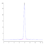 Human NKp80/CLEC5C Protein BP003316 Syd Labs