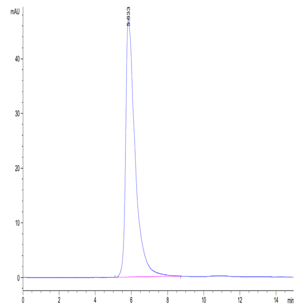 Human NKp46/NCR1/CD335 Protein (NKP-HM346)
