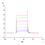 Human NKp30/NCR3/CD337 Protein BP005548 Syd Labs