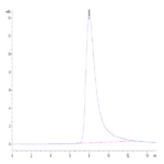Human NKp30/NCR3/CD337 Protein (NKP-HM430)