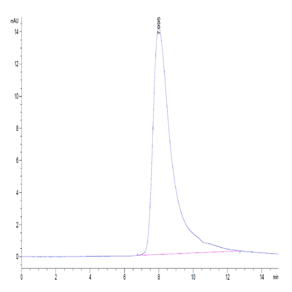 Human NKp30/NCR3/CD337 Protein (NKP-HM430)