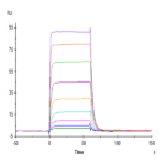 Biotinylated Human NKp30/NCR3/CD337 Protein BP004990 Syd Labs