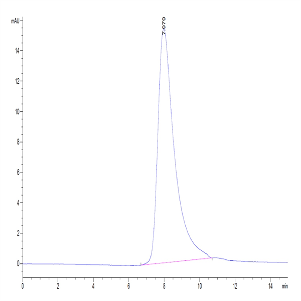 Biotinylated Human NKp30/NCR3/CD337 Protein (NKP-HM430B)