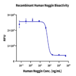 Human Noggin Protein BP005578 Syd Labs