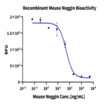 Mouse Noggin Protein BP003328 Syd Labs