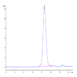 Human Notch 3 Protein BP004207 Syd Labs