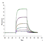 Human Notch 1 Protein BP005540 Syd Labs