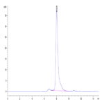 Human Notch 3 Protein BP005546 Syd Labs