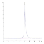 Biotinylated Human Notch 3 Protein BP003629 Syd Labs