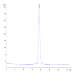 Human Neuropilin-2 Protein BP004431 Syd Labs