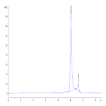Human NRAS Protein BP003317 Syd Labs