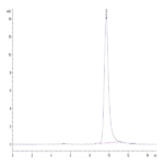 Human NUDT5 Protein BP003338 Syd Labs