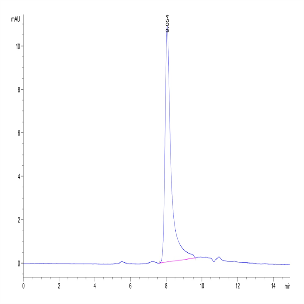 Biotinylated Human Oncostatin M/OSM Protein (ONM-HM401B)