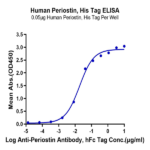 Human Periostin/OSF-2 Protein BP004447 Syd Labs