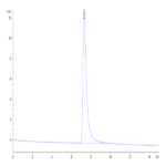 Canine Oncostatin M/OSM Protein (OSM-DM10M)