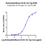 Biotinylated Mouse OX40/TNFRSF4/CD134 Protein BP004288 Syd Labs