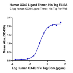 Human OX40 Ligand/TNFSF4 Trimer Protein BP005341 Syd Labs
