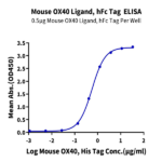 Mouse OX40 Ligand/TNFSF4 Protein BP004285 Syd Labs