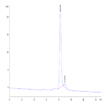 Human PAH (D415N) Protein BP003217 Syd Labs