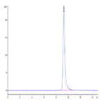 Human PAI-1 Protein BP003764 Syd Labs