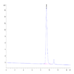 Rat PAI-1 Protein BP003244 Syd Labs