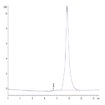 Human uPAR/PLAUR Domain 1 Protein BP003847 Syd Labs