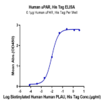 Human uPAR/PLAUR Protein BP003852 Syd Labs