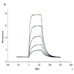 Mouse uPAR/PLAUR isoform 1 Protein BP003850 Syd Labs