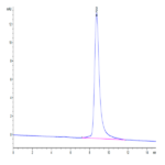 Mouse uPAR/PLAUR isoform 1 Protein (PAR-MM401)