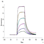 Biotinylated Mouse uPAR/PLAUR Protein BP003837 Syd Labs