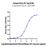 Human PSCA Protein BP004861 Syd Labs