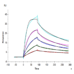 Human PCSK9 Protein BP005358 Syd Labs