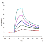 Mouse PCSK9 Protein BP004518 Syd Labs