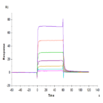 Human PD-L1/B7-H1 Protein BP004986 Syd Labs