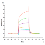 Biotinylated Mouse PD-L1/B7-H1 Protein (Primary Amine Labeling) BP004752 Syd Labs