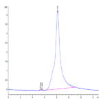 Human PDGFD Protein BP003760 Syd Labs