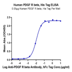 Human PDGF R beta/CD140b Protein BP005539 Syd Labs