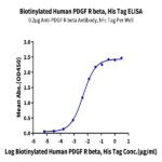 Biotinylated Human PDGF R beta/CD140b Protein BP005628 Syd Labs