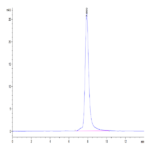 Mouse PGF Protein BP004812 Syd Labs