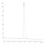 Rat PDGF R beta/CD140b Protein BP003254 Syd Labs