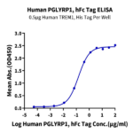 Human PGLYRP1 Protein BP004404 Syd Labs