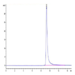 Canine PKA/PRKACA Protein BP003983 Syd Labs